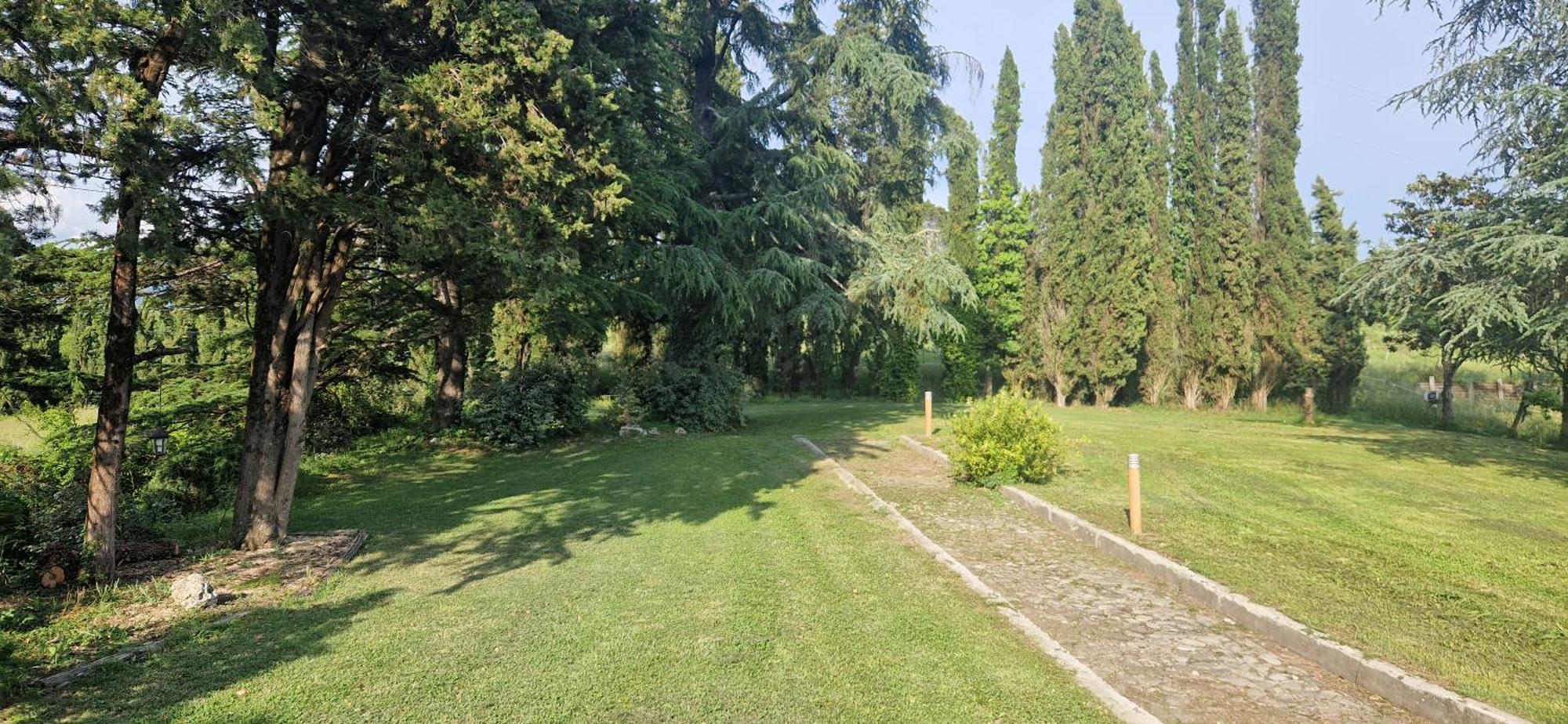 B&B Podere Montese ヴィッラフランカ・イン・ルニジャーナ エクステリア 写真