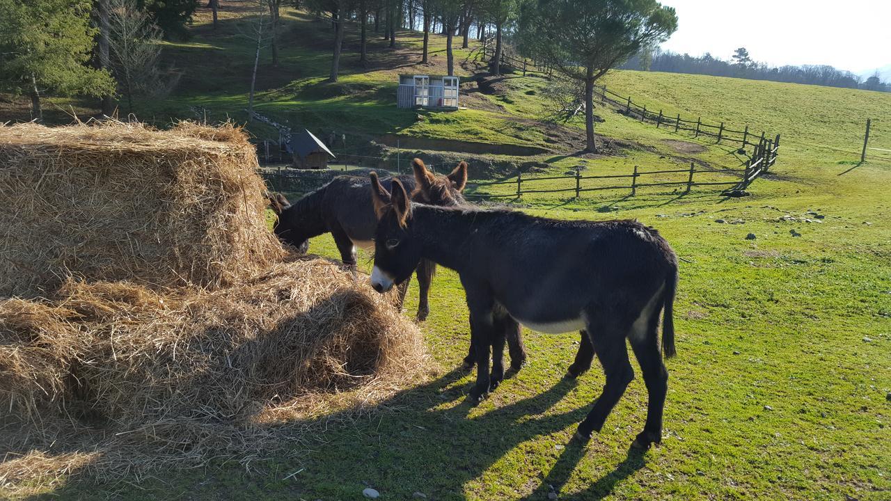 B&B Podere Montese ヴィッラフランカ・イン・ルニジャーナ エクステリア 写真