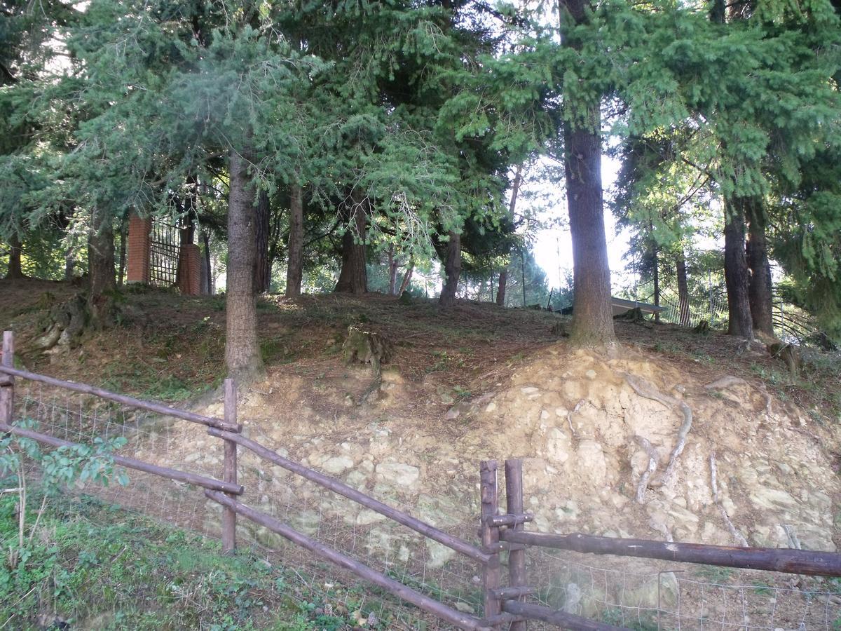 B&B Podere Montese ヴィッラフランカ・イン・ルニジャーナ エクステリア 写真