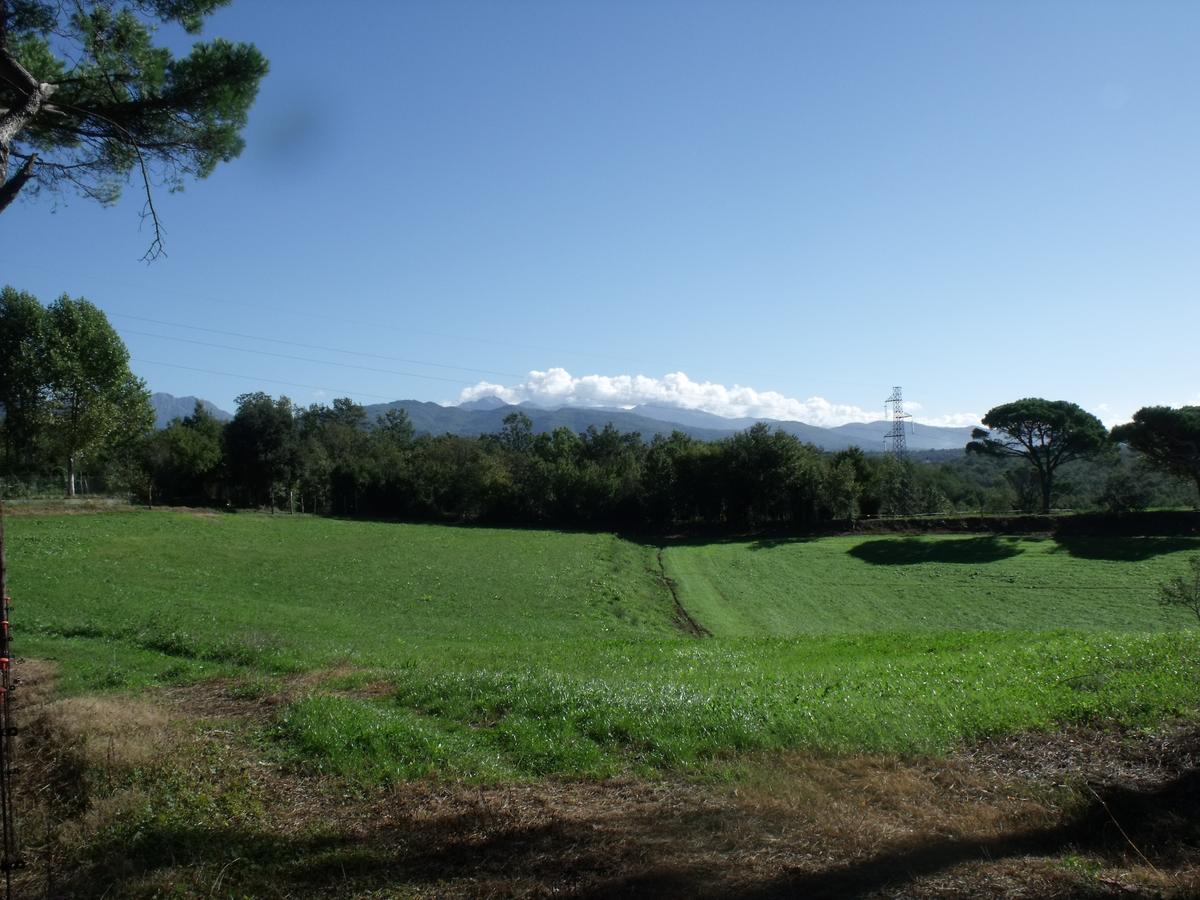 B&B Podere Montese ヴィッラフランカ・イン・ルニジャーナ エクステリア 写真